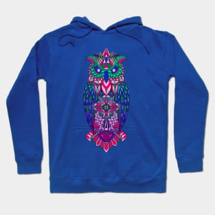 nite owl in led colors art ecopop Hoodie